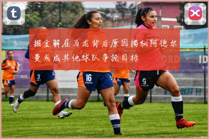 掘金解雇马龙背后原因揭秘阿德尔曼或成其他球队争抢目标