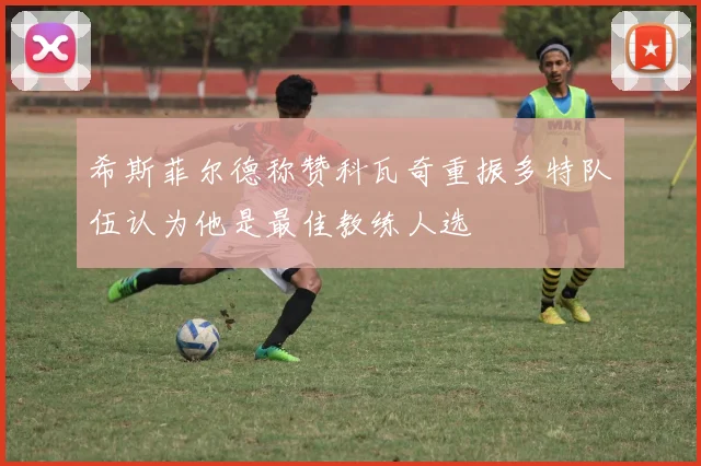 希斯菲尔德称赞科瓦奇重振多特队伍认为他是最佳教练人选