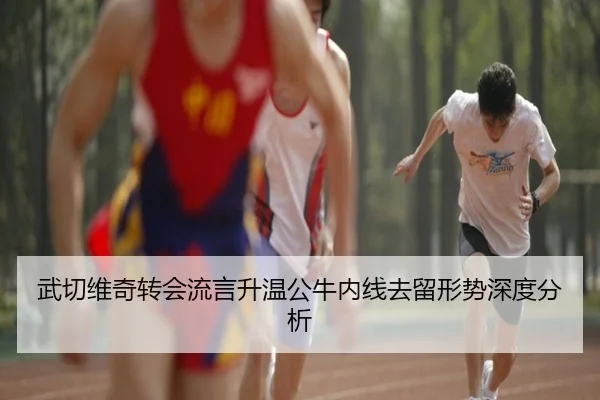 武切维奇转会流言升温公牛内线去留形势深度分析
